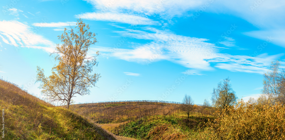 Autumn landscape with hills and trees. The field is overgrown with tall, dry shoots of hogweed. Autumn landscape with hills and trees. The field is overgrown with tall, dry shoots of hogweed.