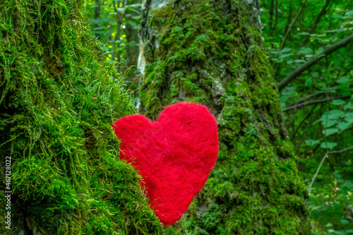 The red heart lies on the moss that grows on the trunk of a tree. Background as a symbol of ecology, love and respect for nature.