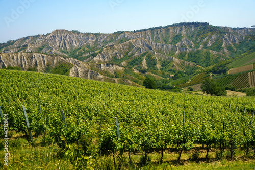 Rural landscape on the hills near Imola and Riolo Terme