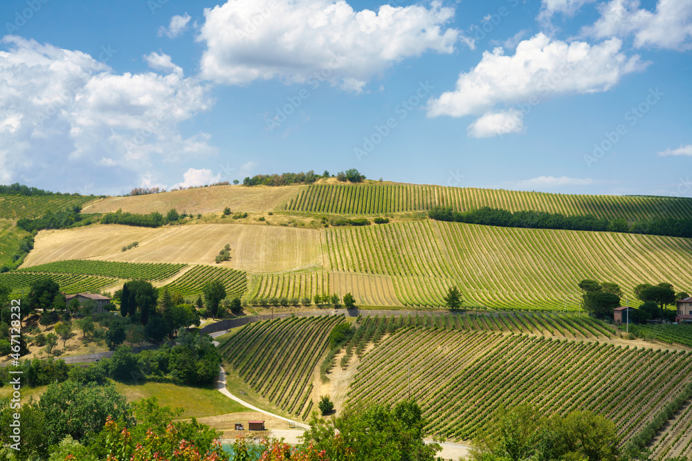 Rural landscape on the hills near  Riolo Terme and Brisighella