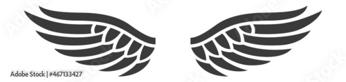 Eagle wings flight graphics spiritual vector illustration