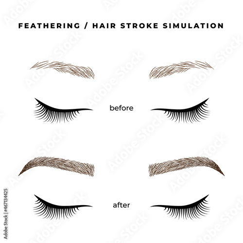 Method of cosmetic tattoo: feathering/hair stroke. Illustration brows before and after permanent makeup procedure.
