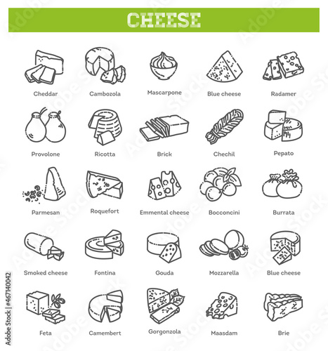 Cheese collection. Vector illustration of cheese types