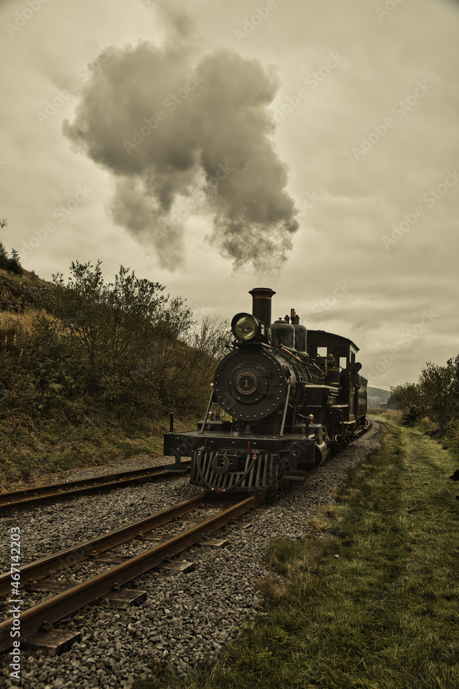 Fototapeta premium Old train transport works on coal smoke comes out.