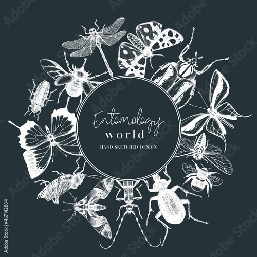 Hand-sketched insect wreath template. Hand drawn beetles, bugs, butterflies, dragonfly, cicada, moths, bee illustrations in vintage style. Entomological frame vector design on chalkboard