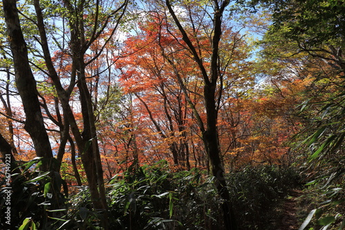 天空の爽回廊 秋の紅葉