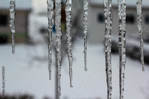 The icicles in winter