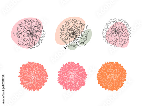 A set of painted dahlia line flowers. Detailed line art of flowers for your design. Vector illustration on white background.
