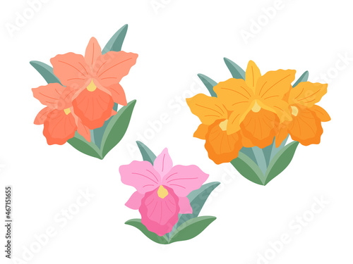 Three sprigs of orchid flowers (Rhynchosophrocattleya) on a white background, flat illustration. A set of simple small delicate bouquets for your design. Flat cartoon vector illustration.
