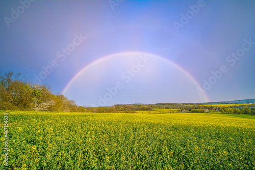 Blooming rapeseed field on a clear summer day with a rainbow in the sky