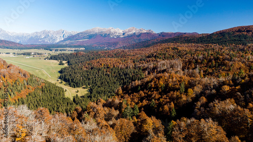 aerial view of the Cansiglio forest with autumn colors