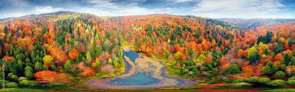 Wild Lake Dead (Polyanitske) near the Dovbush rocks, Bubnishche in autumn among a beautiful autumn forest in the Carpathians, Ukraine. It has a high level of hydrogen sulfide Aerial photo drone copter