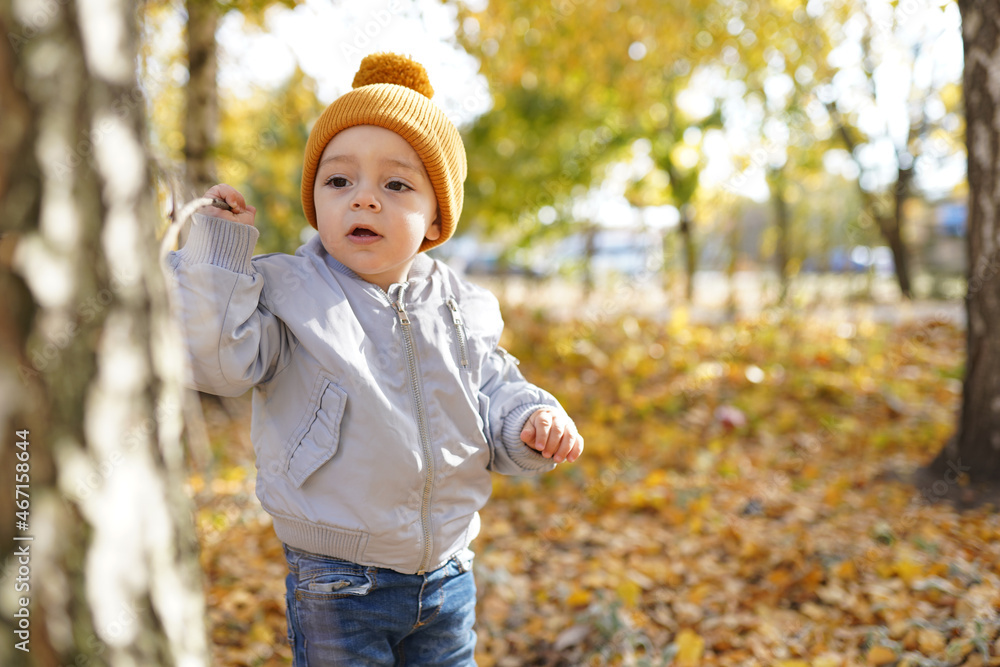 Cute child boy staying in autumn park outdoors Cute child boy staying in autumn park outdoors