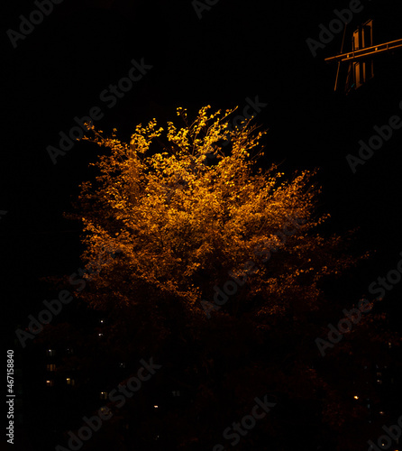 Neon tree © Игорь Балашов