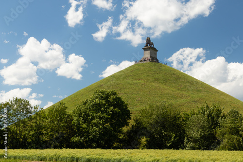 Obraz na plátně lion hill in Waterloo