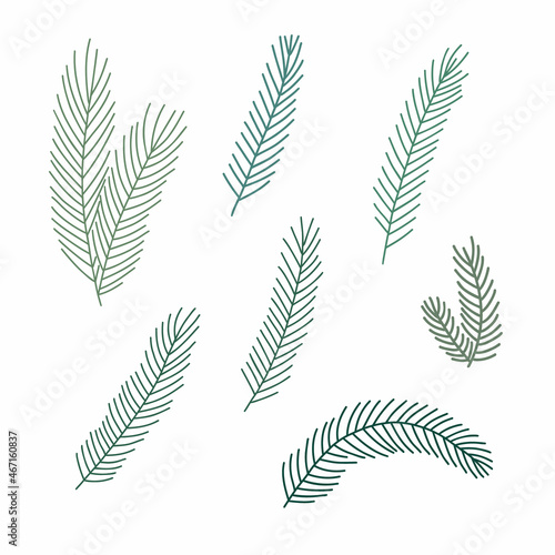 Christmas plant green fir tree branch for home decor, festive holiday arrangement, minimalist vector illustration for seasonal greeting card, invitation, banner