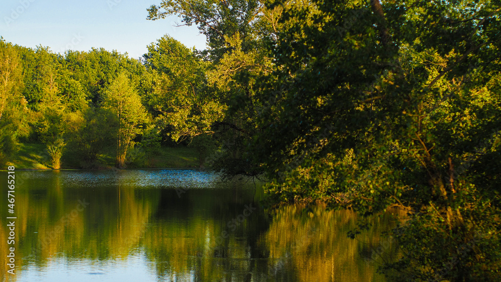Fototapeta premium Rive d'un étang de pêche, bordant la rivière de l'Adour, dans la Chalosse