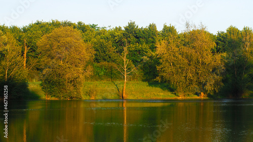 Rive d'un étang de pêche, bordant la rivière de l'Adour, dans la Chalosse photo