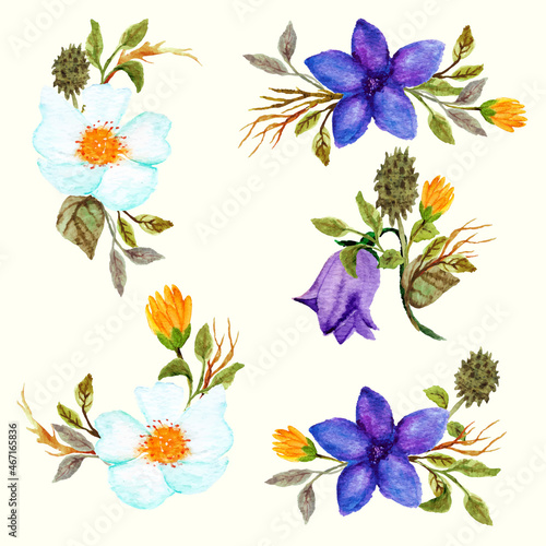 watercolor set of flowers isolated on white © migart