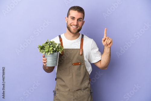 Gardener caucasian man holding a plant isolated on yellow background pointing up a great idea