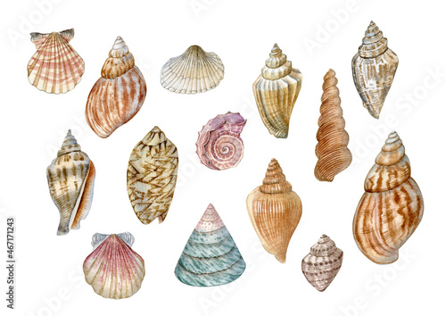 Sea shells watercolor painted seamless pattern. Detailed realistic illustration of colorful sea sheels can be used as print, poster, textile, postcard, invitation, element design, illustration.