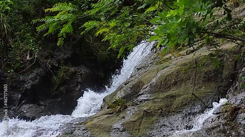 stream in the forest
