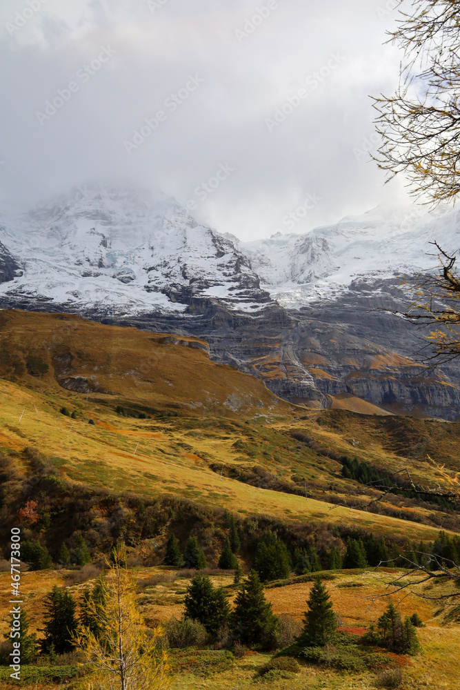View of Landscape snow alp mountain in nature and environment at swiss from train down hill jungfrau mountain
