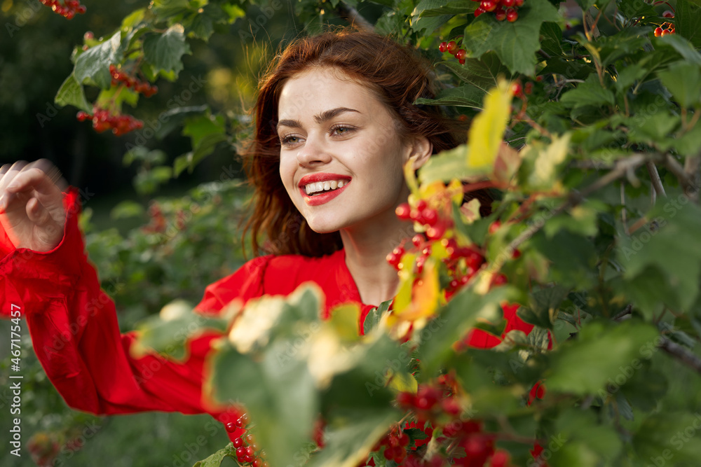 women near bushes nature berries summer lifestyle women near bushes nature berries summer lifestyle
