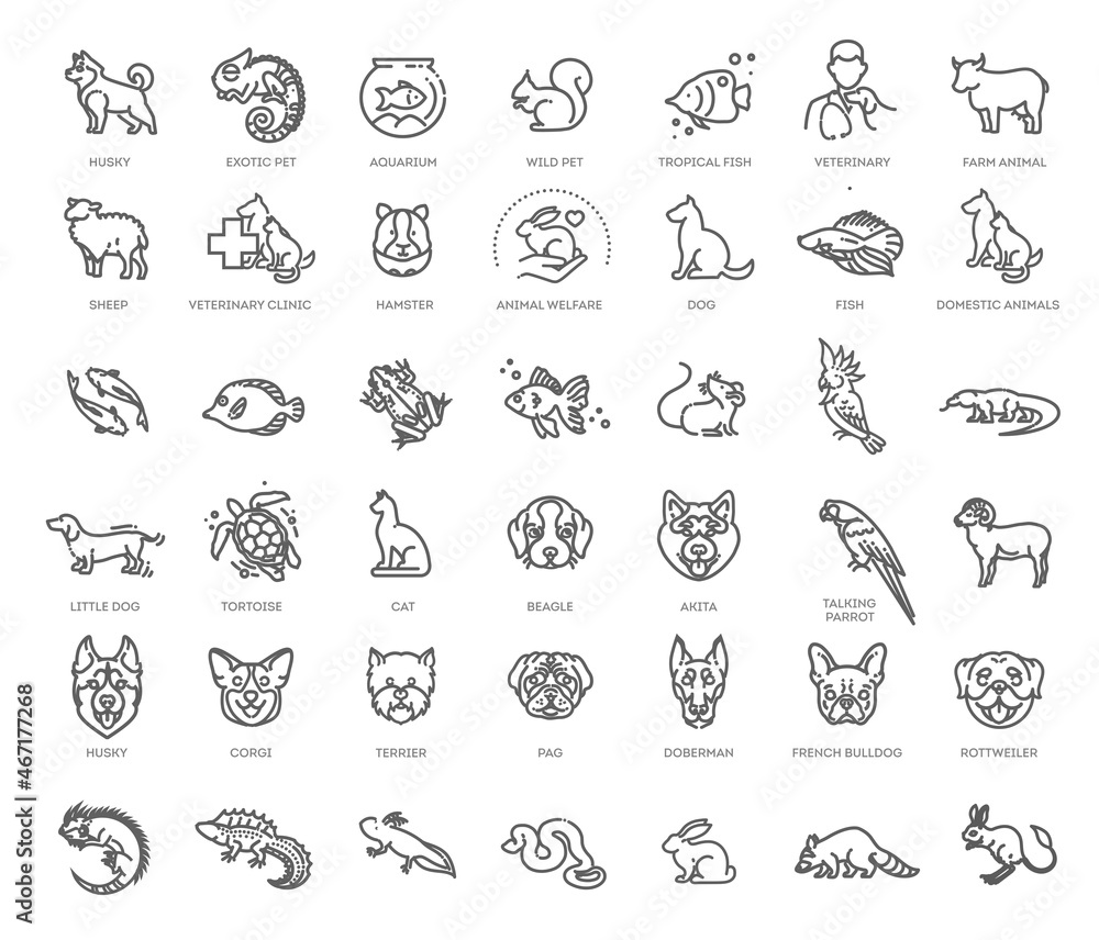 Outline web icon set - pet, pet shop Outline web icon set - pet, pet shop