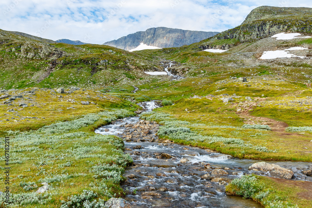 Fototapeta premium Mountain stream at Helags in Sweden