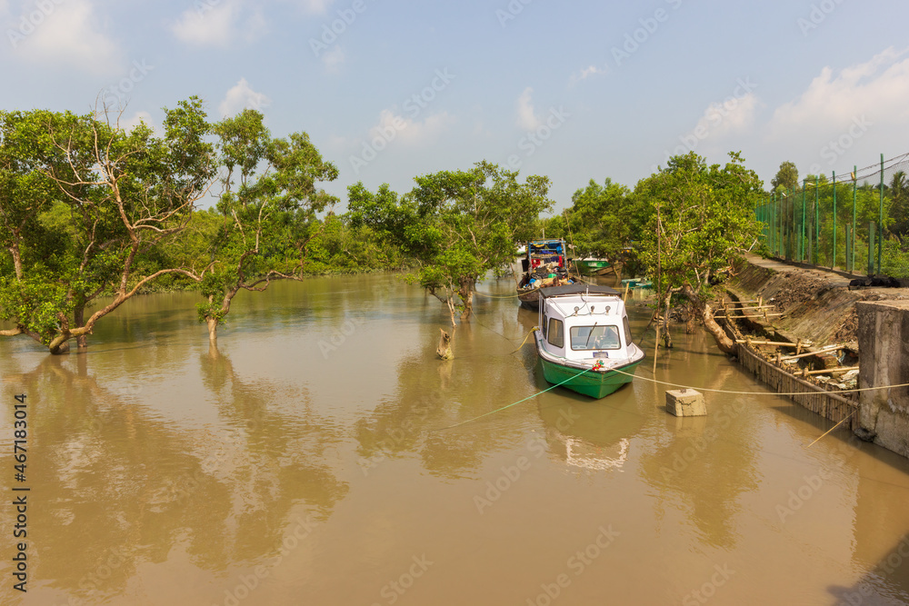 Sundarbans National Park, West Bengal, India