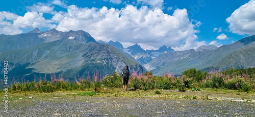 A man standing at the edge of a slope with the bushes of Rosebay Willowherb blooming in high Caucasus mountains in Georgia. There are high, snowcapped peaks in the back. Thick clouds. Purple flowers. photo