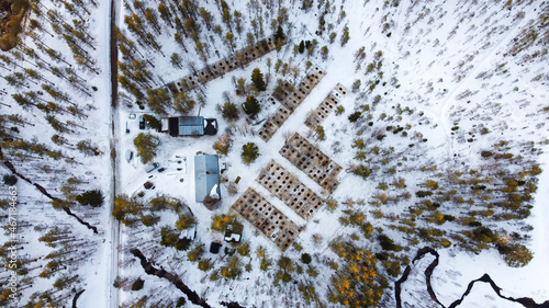 kennel in finnish winter