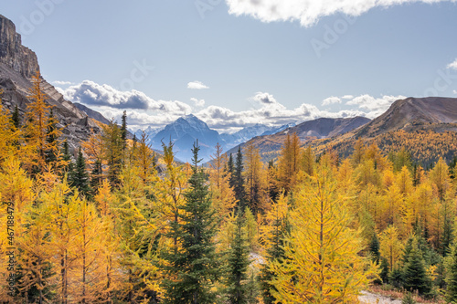 The Canadian Rockies