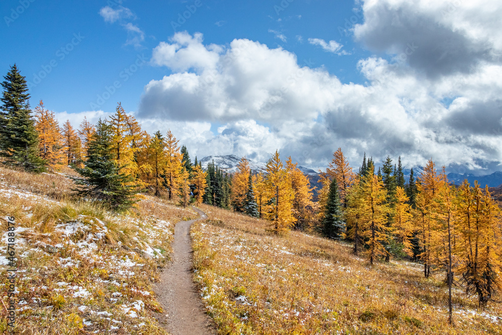 Fototapeta premium The Canadian Rockies