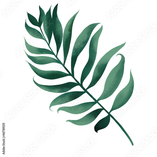 Canvastavla Watercolor of tropical botanical foliage plant with clipping path
