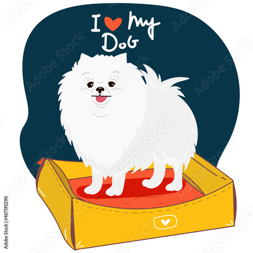 Cute cartoon pomeranian puppy I love my dog, vector print. Pedigree kennel doggie breed for dog lovers. illustration. Isolated pomeranian spitz. print on t-shirt, cup, clothes. dog is on bed