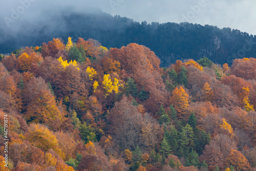 Paisaje otoñal (otoño) con niebla en la cumbre de una montaña