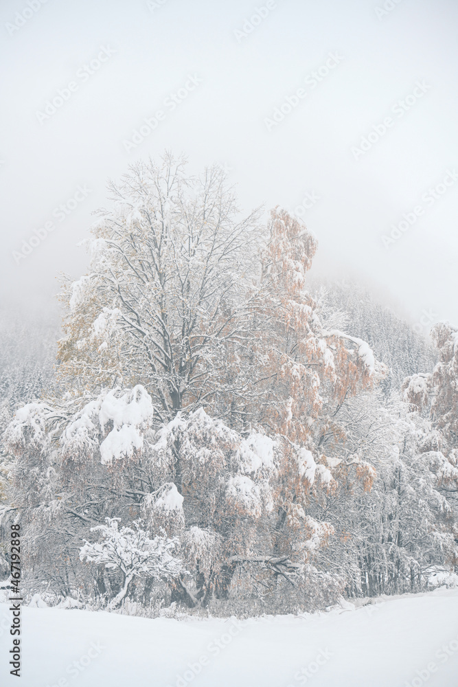 alero neve nebbia alero neve nebbia