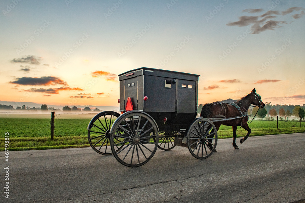 Amish Buggy at Daybreak on rural Indiana road