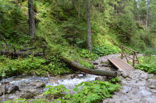 Tatry, mostek na szlaku w Dolinie Strążyskiej