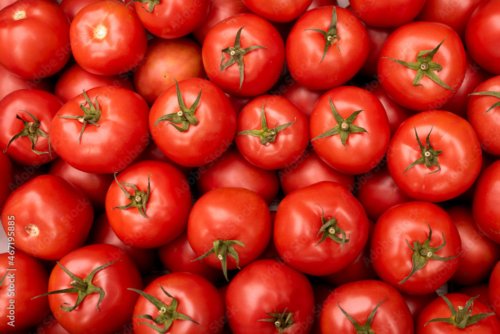 Piękne świeże pomidory przygotowane do sprzedaży na targu / Beautiful fresh tomatoes prepared for sale at the market