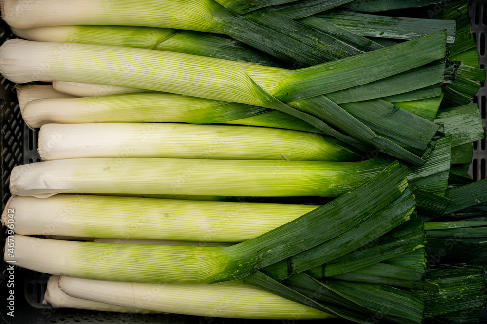 Obraz premium Świeże, młode pory przygotowane do sprzedaży, Fresh, young leeks prepared for sale