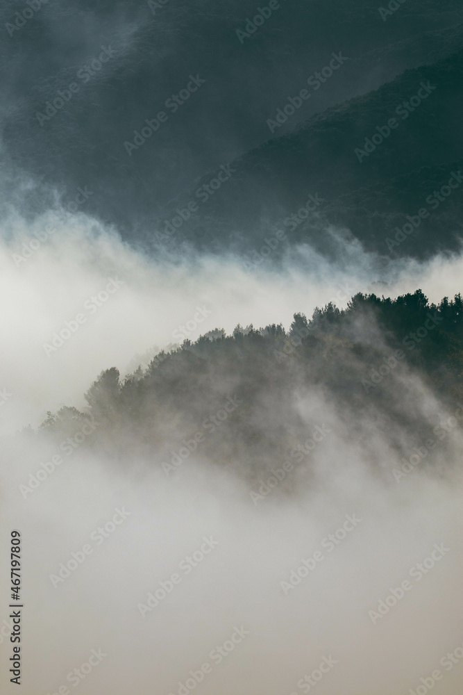 Fog over the mountains