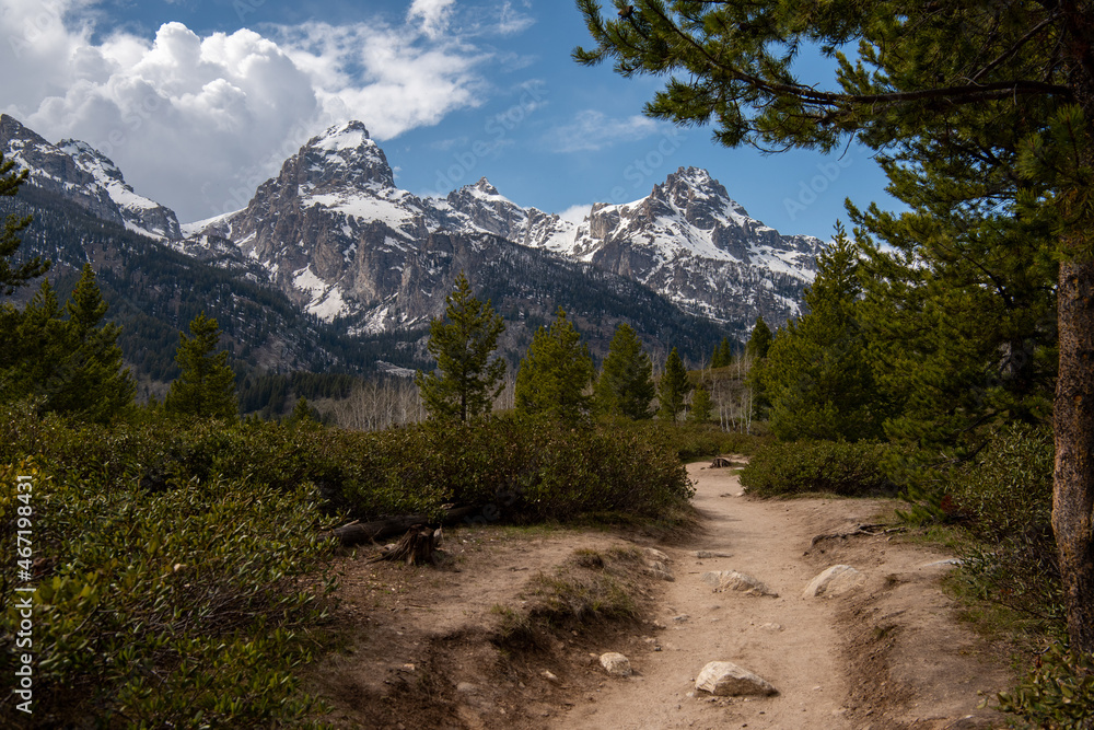Fototapeta premium Grand Tetons National Park