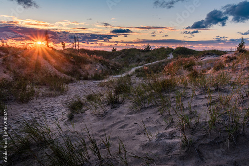 Sunset through Sand Dunes