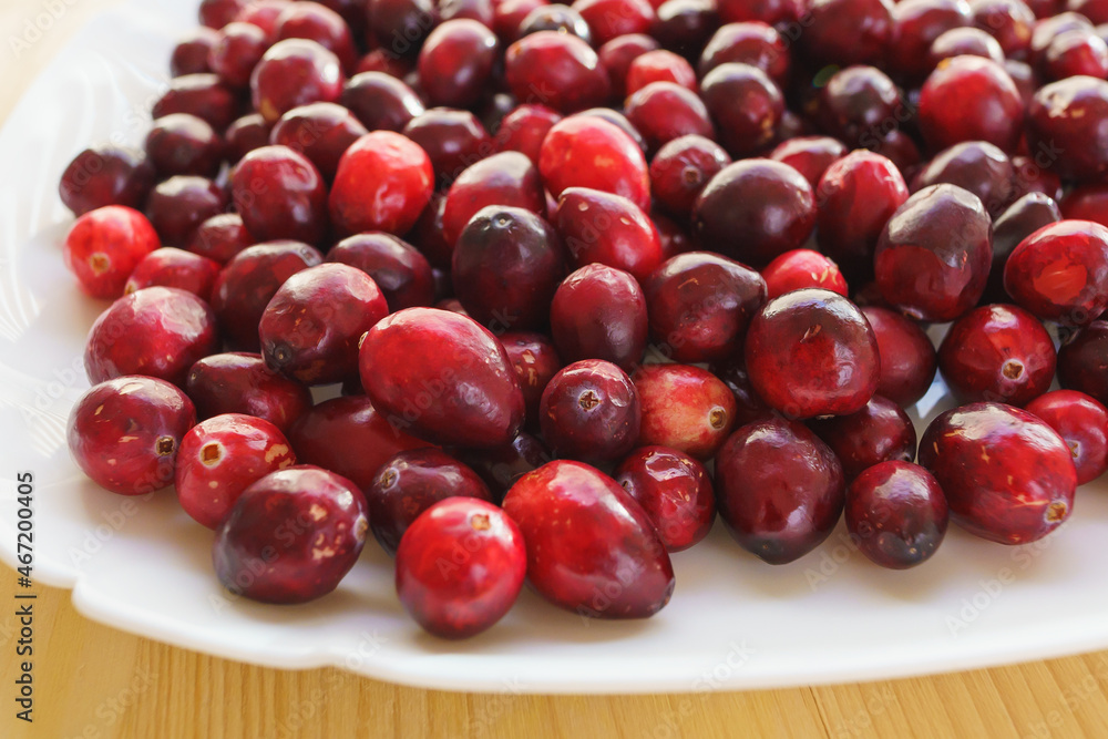 Fresh ripe red cranberries on a plate close up Fresh ripe red cranberries on a plate close up