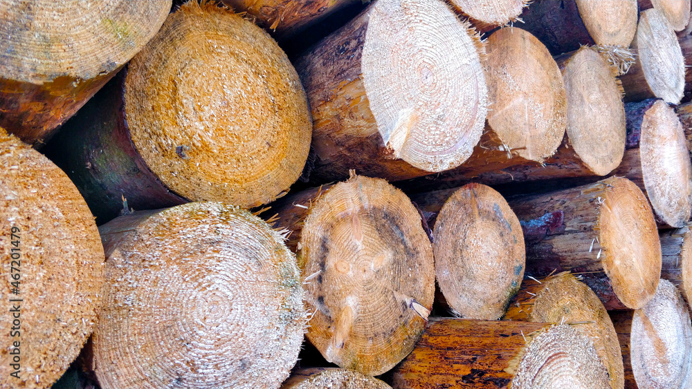 Closeup view on timber pilled up on each other. They are waiting to be transported into a sawmill. Closeup view on timber pilled up on each other. They are waiting to be transported into a sawmill.