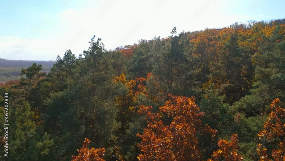 Beautiful autumn nature landscape. Amazing aerial drone nature footage of autumn forest Beautiful autumn nature landscape. Amazing aerial drone nature footage of autumn forest