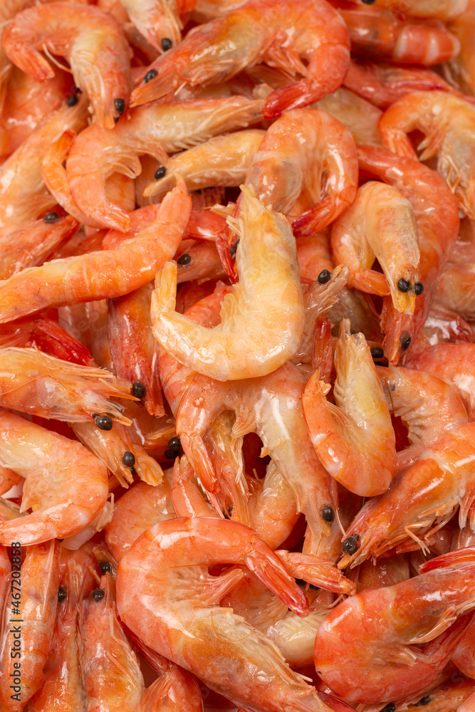 Shrimps background texture. A lot of shrimps. Cooked shrimps. Shrimps background texture. A lot of shrimps. Cooked shrimps.